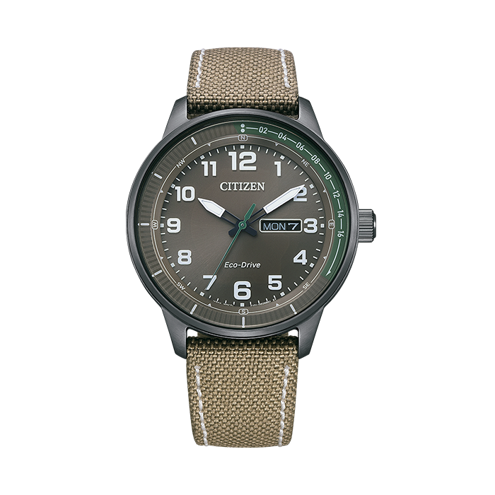 CITIZEN Watch Day Date Display, Eco-Drive, Nylon & Calf Leather Strap, 42Mm BM8595-16H