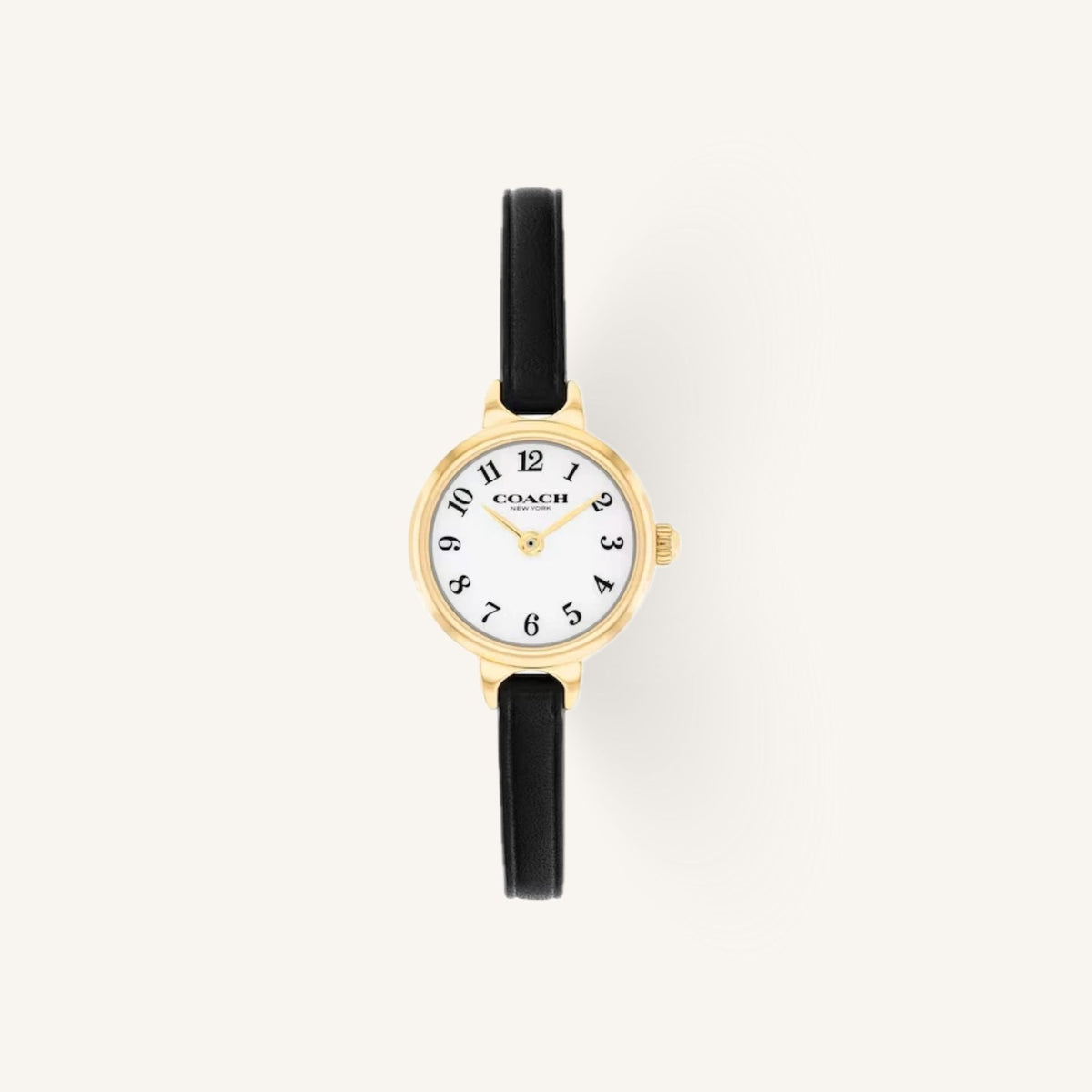 Coach Iris Small Ladies Watch of Gold Stainless Steel/Leather Strap, 22mm, 14504654-T