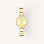 Coach Park Small Ladies Watch of Gold Stainless Steel/Bracelet, 26mm, 14503171