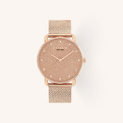 Coach Elliot 14504554 Silver Dial Round Two-Tone Stainless Steel Bracelet Watch, 36mm