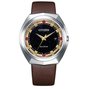 Citizen Watch Eco Drive BN1010-05E