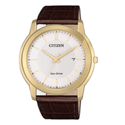 Citizen Watch Eco Drive AW1212-10A