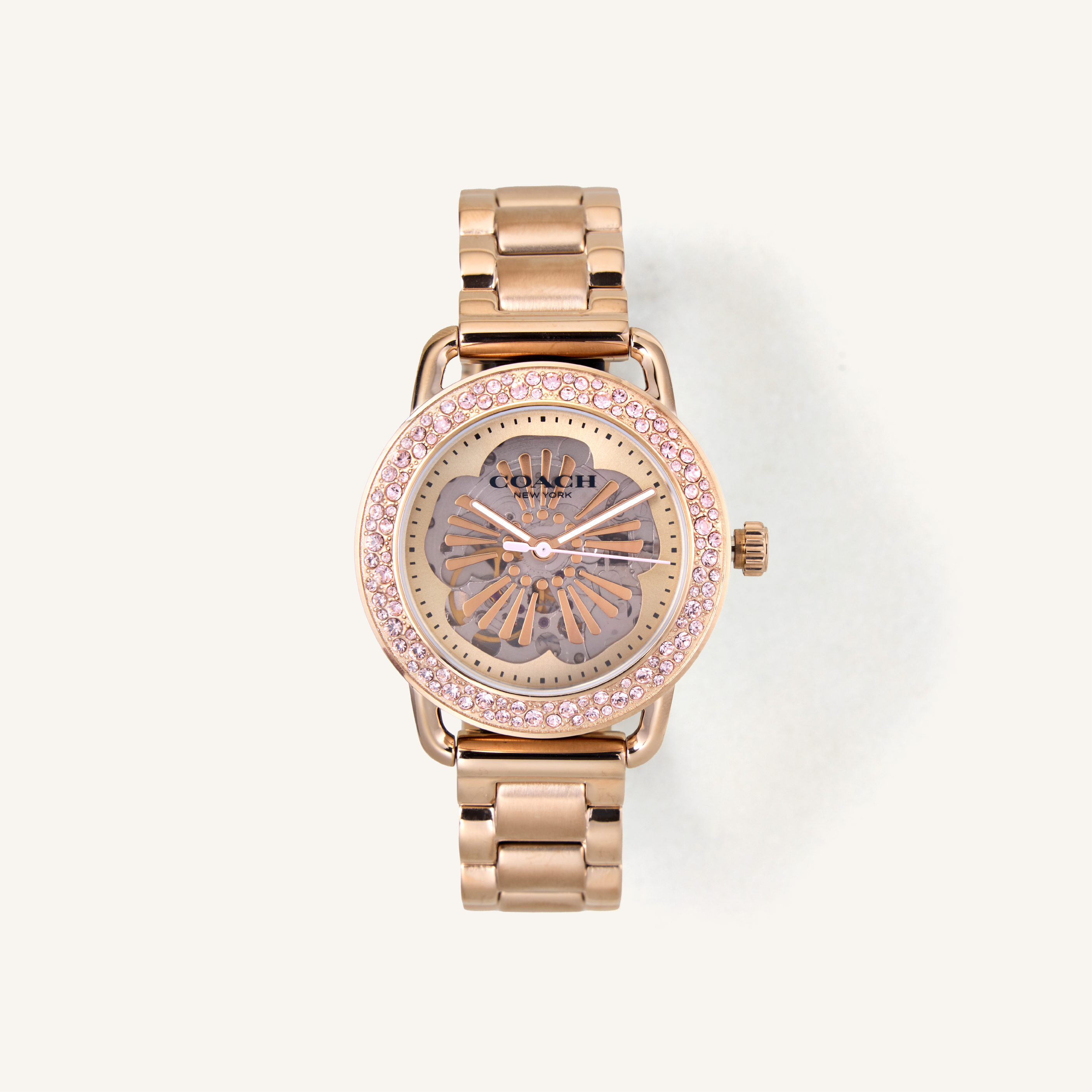 Coach Watch Cruiser 14504367