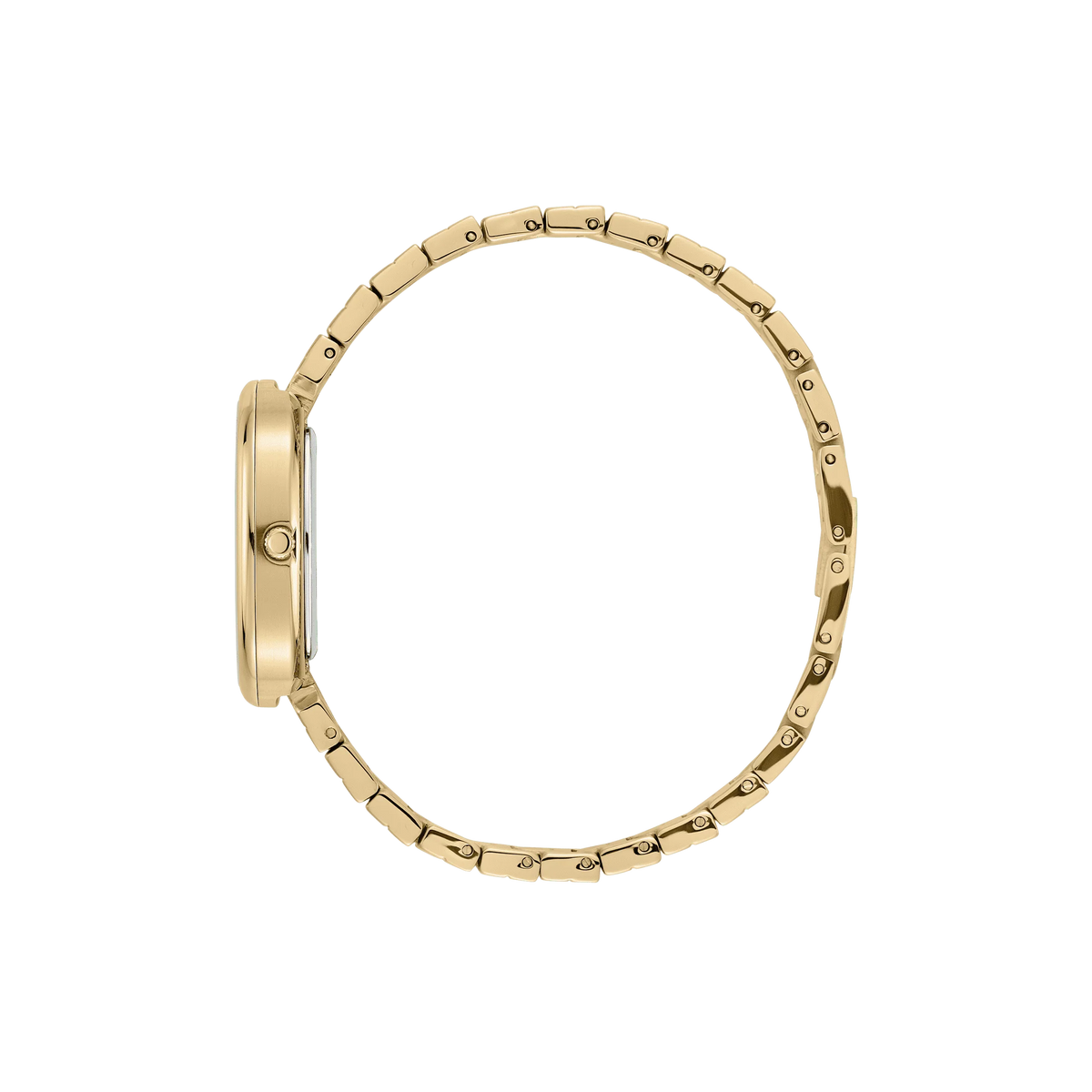 Breda Jane Unisex Watch of Gold Stainless Steel, 23mm, 1741T