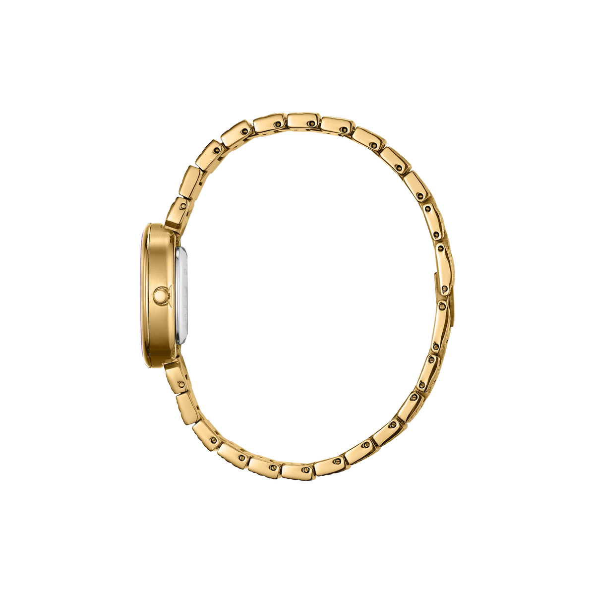 Breda Jane (Revival) Unisex Watch of Gold Stainless Steel, 18mm, 1753D